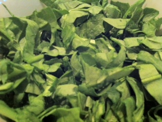 Salad Bed - Spinach